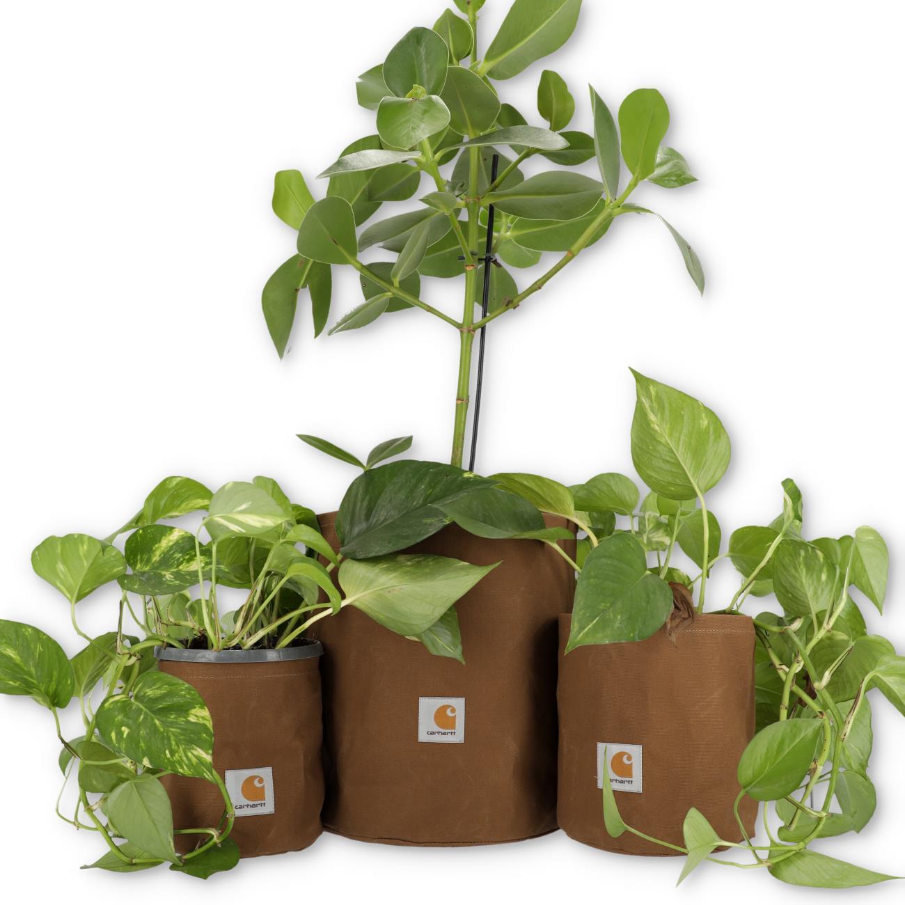 Carhartt WIP Australia | Carhartt WIP Canvas Planter Set