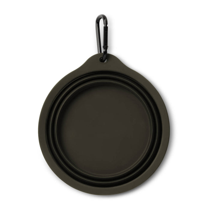 Wild Dog Foldable Bowl