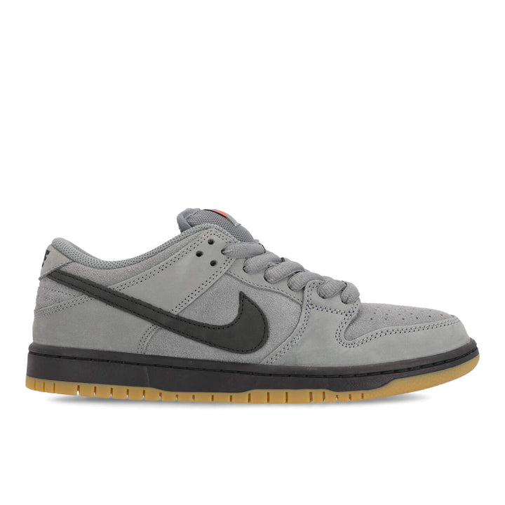 Dunk Low Pro FJ1674-002