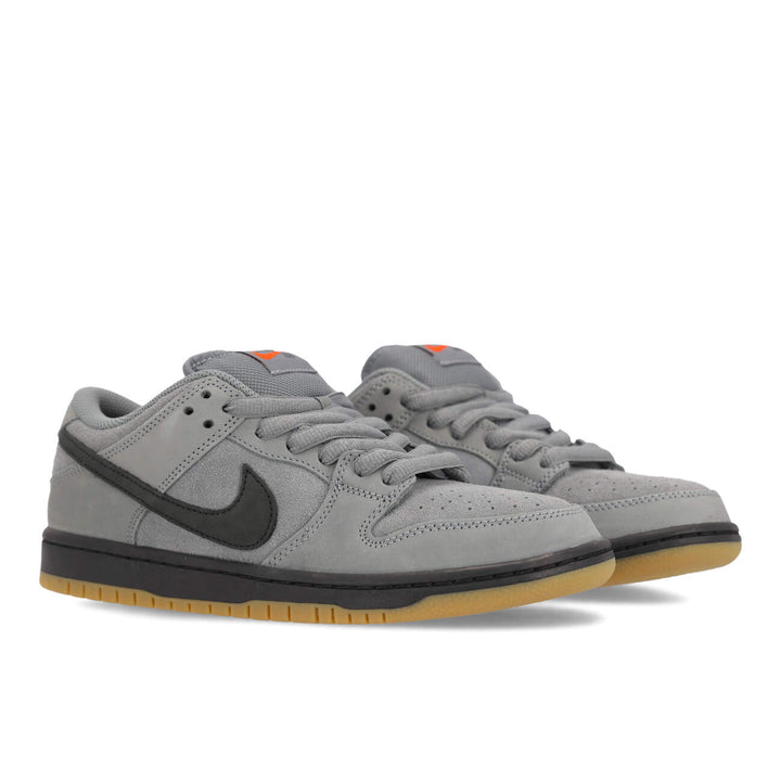 Dunk Low Pro FJ1674-002