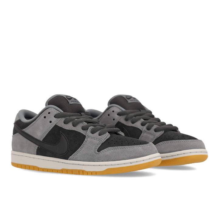 Dunk Low Pro