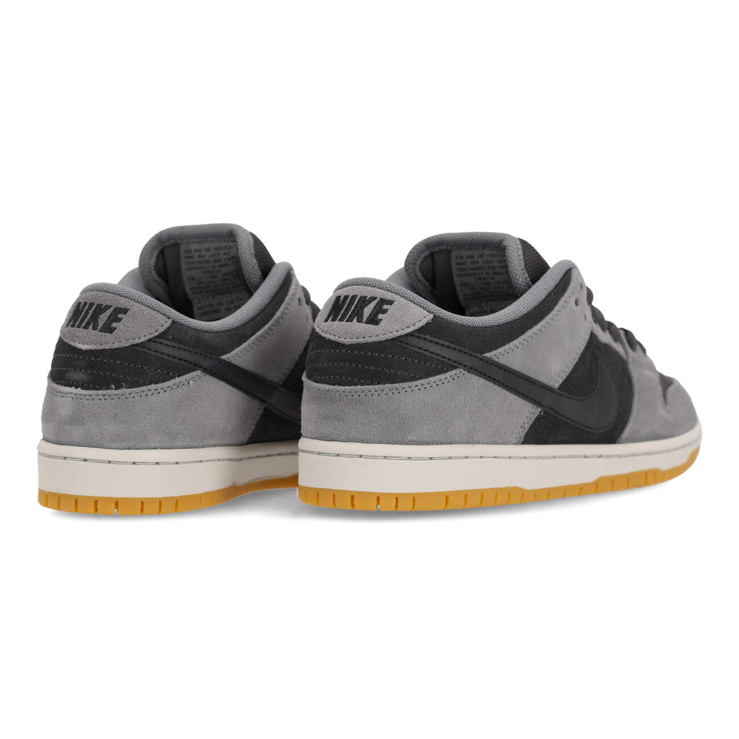 Dunk Low Pro