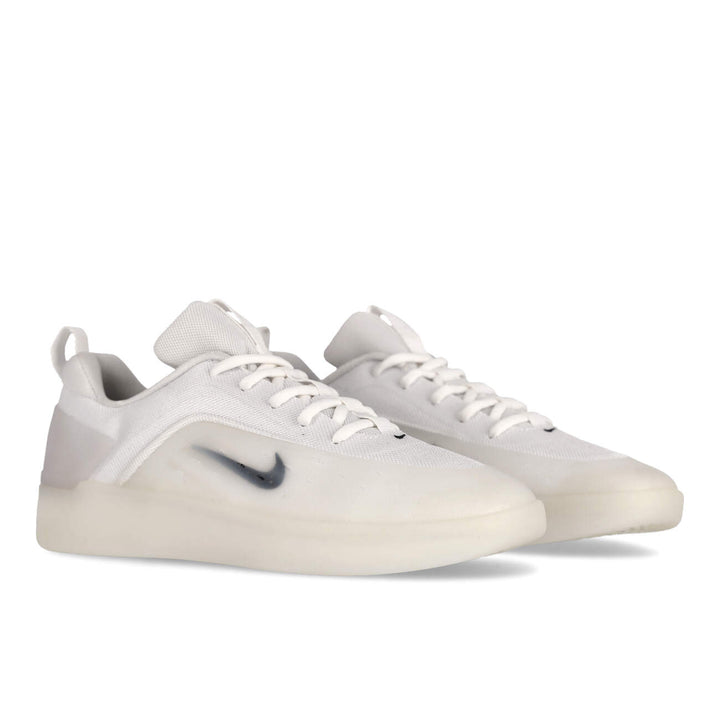 Zoom Nyjah 4 FQ1273-100