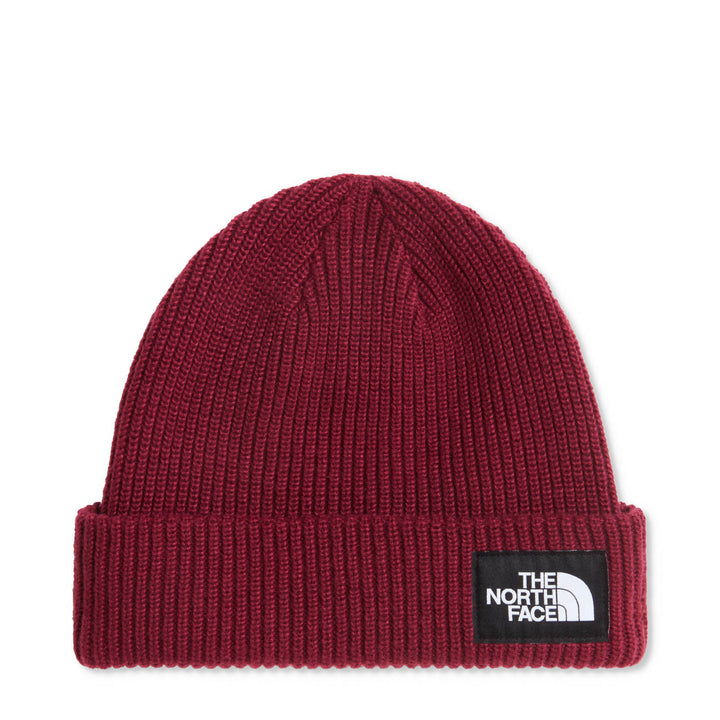 Salty Lined Beanie