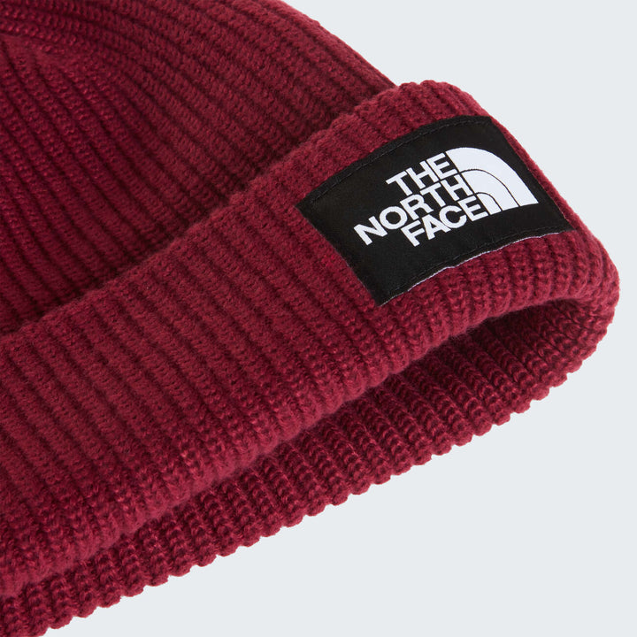 Salty Lined Beanie