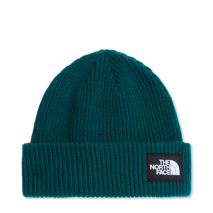Salty Lined Beanie