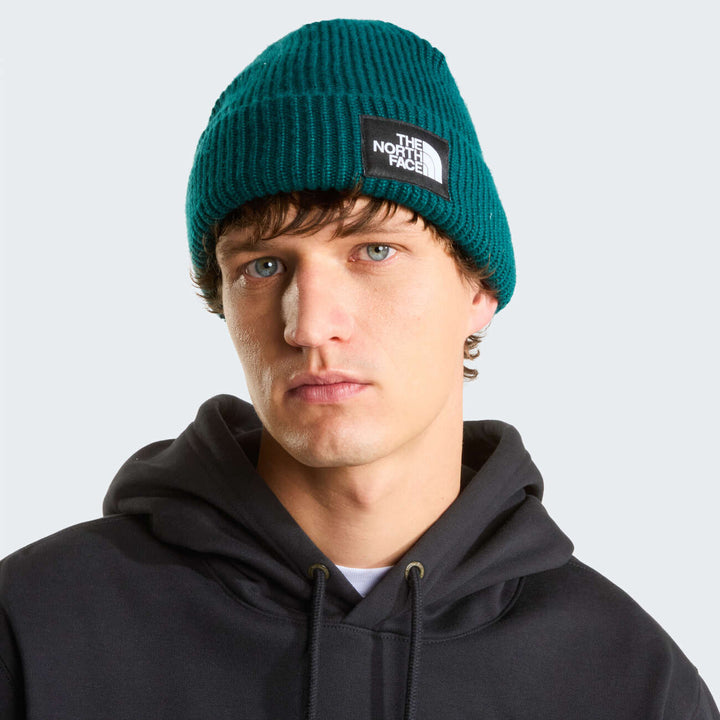 Salty Lined Beanie