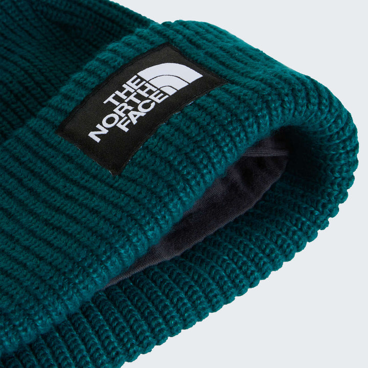 Salty Lined Beanie
